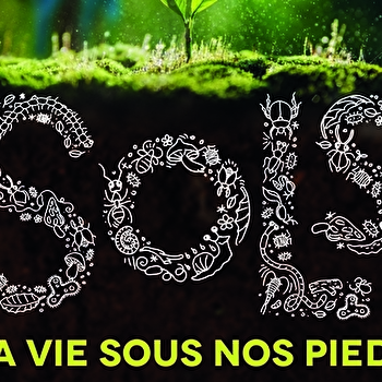 Sols, la vie sous nos pieds - DIJON