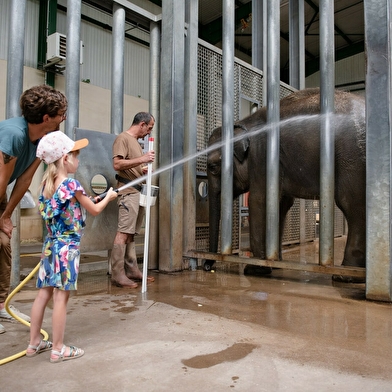 Formule au plus près des animaux