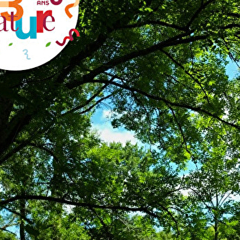 SORTIE 123 NATURE : Les gardiens du bois - VALENTIGNEY