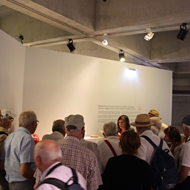 Musée de Préhistoire de Solutré