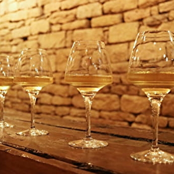 Dégustation découverte vignobles Bourguignon (5 Vins x 5cl) - La Fine Heure - DIJON