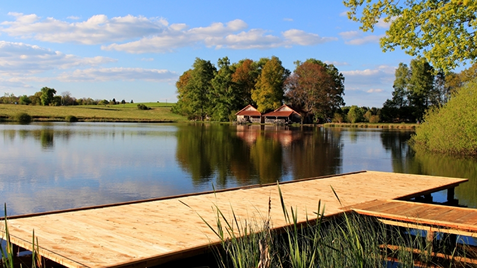 Pêche en etang aux guidons