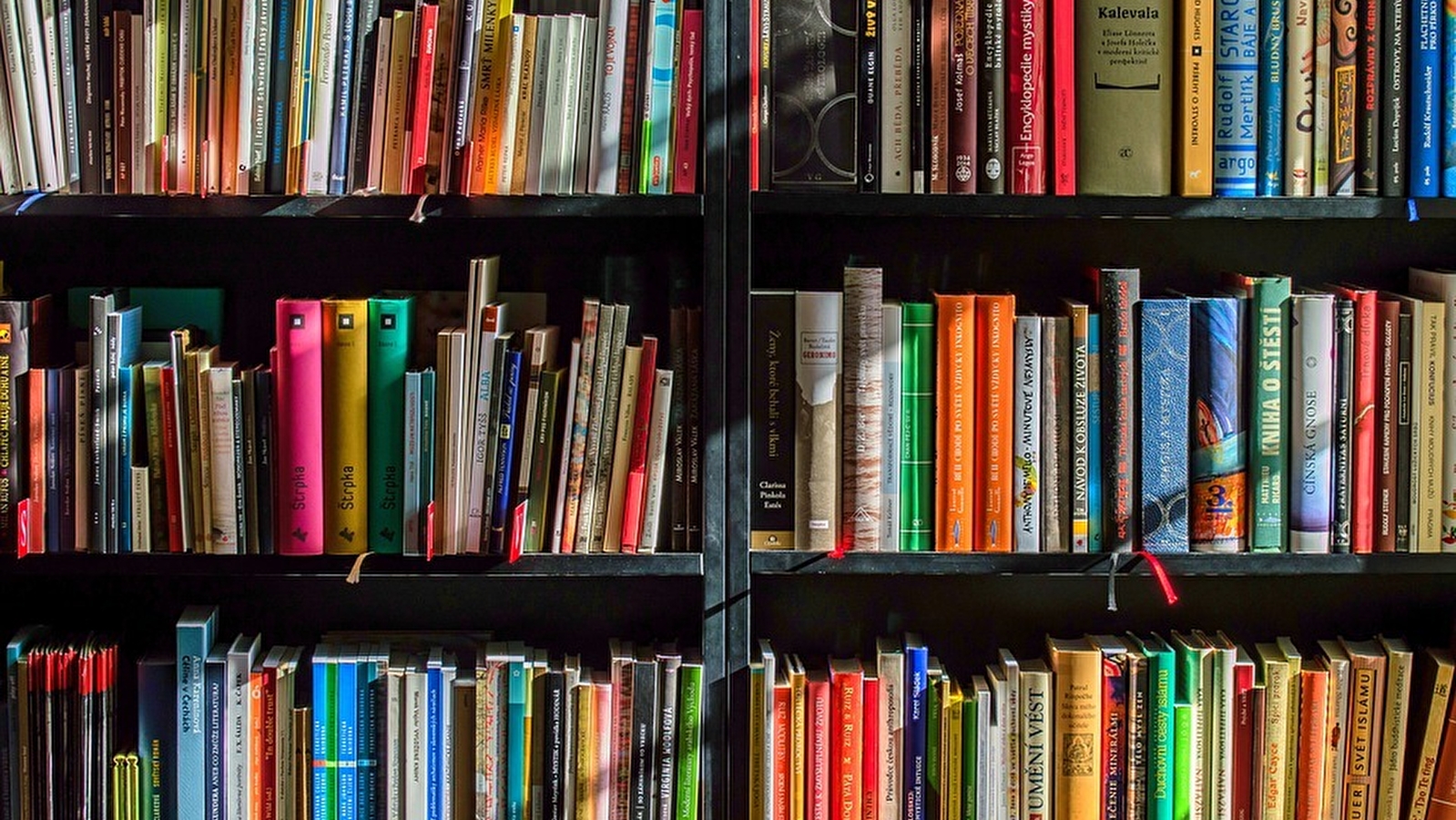 Atelier - Dans la peau d'un.e bibliothécaire