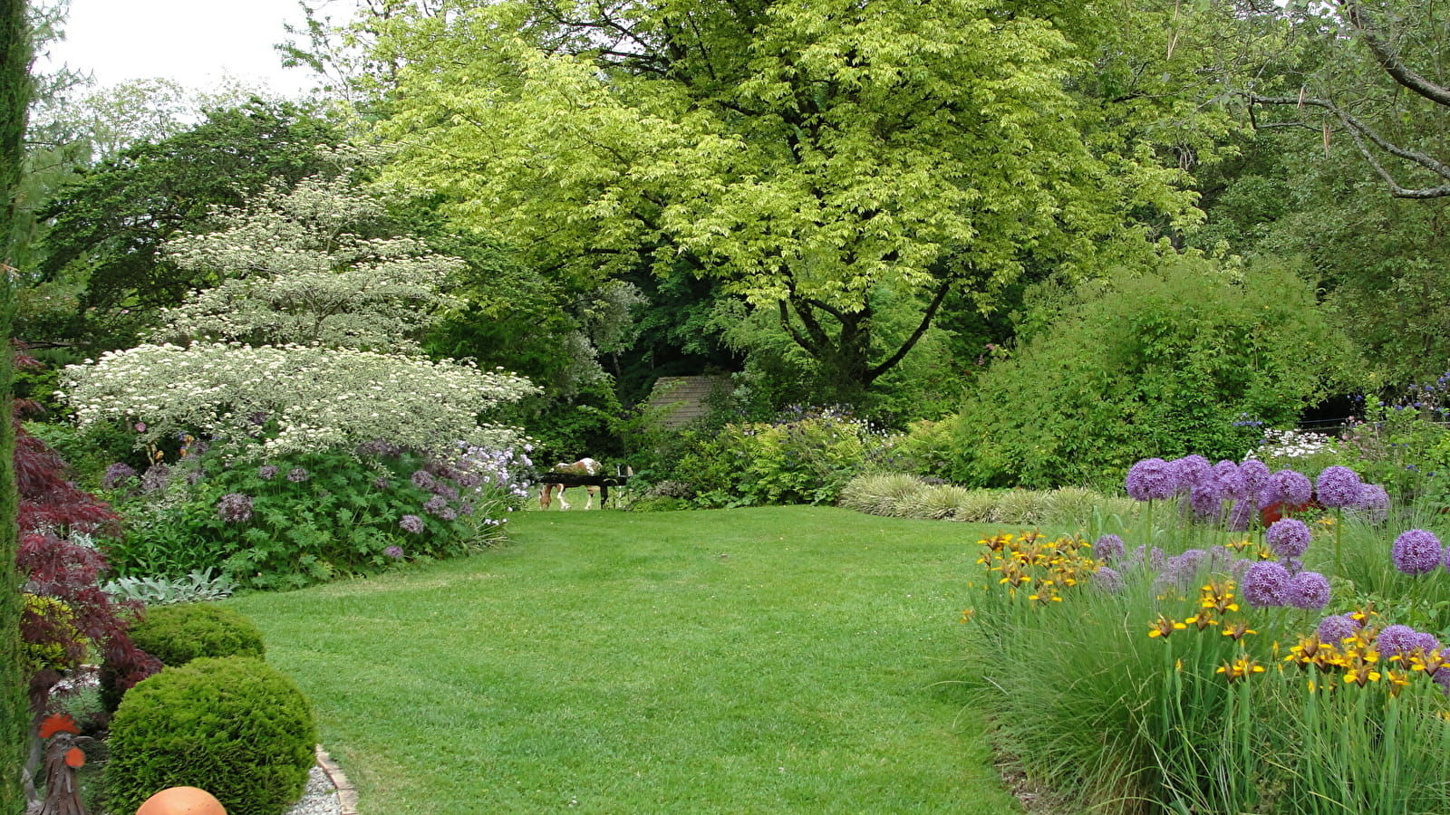 Le jardin des vieilles vignes