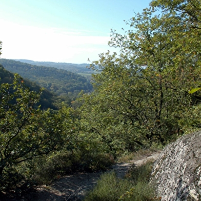 Escalade dans les Gorges de Narvau