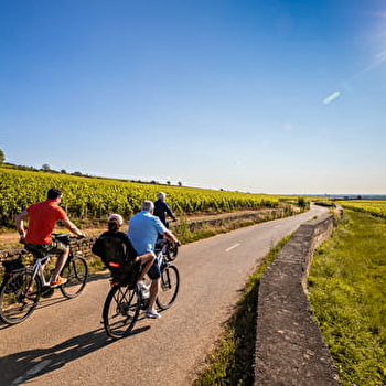 Pom'Bikes - POMMARD