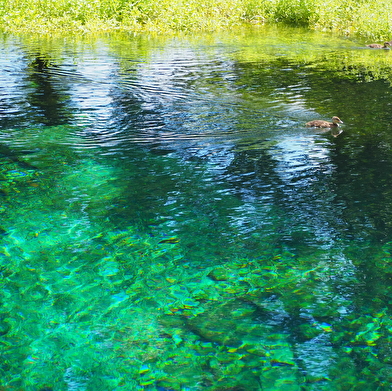 Site du Creux-Bleu et son lavoir