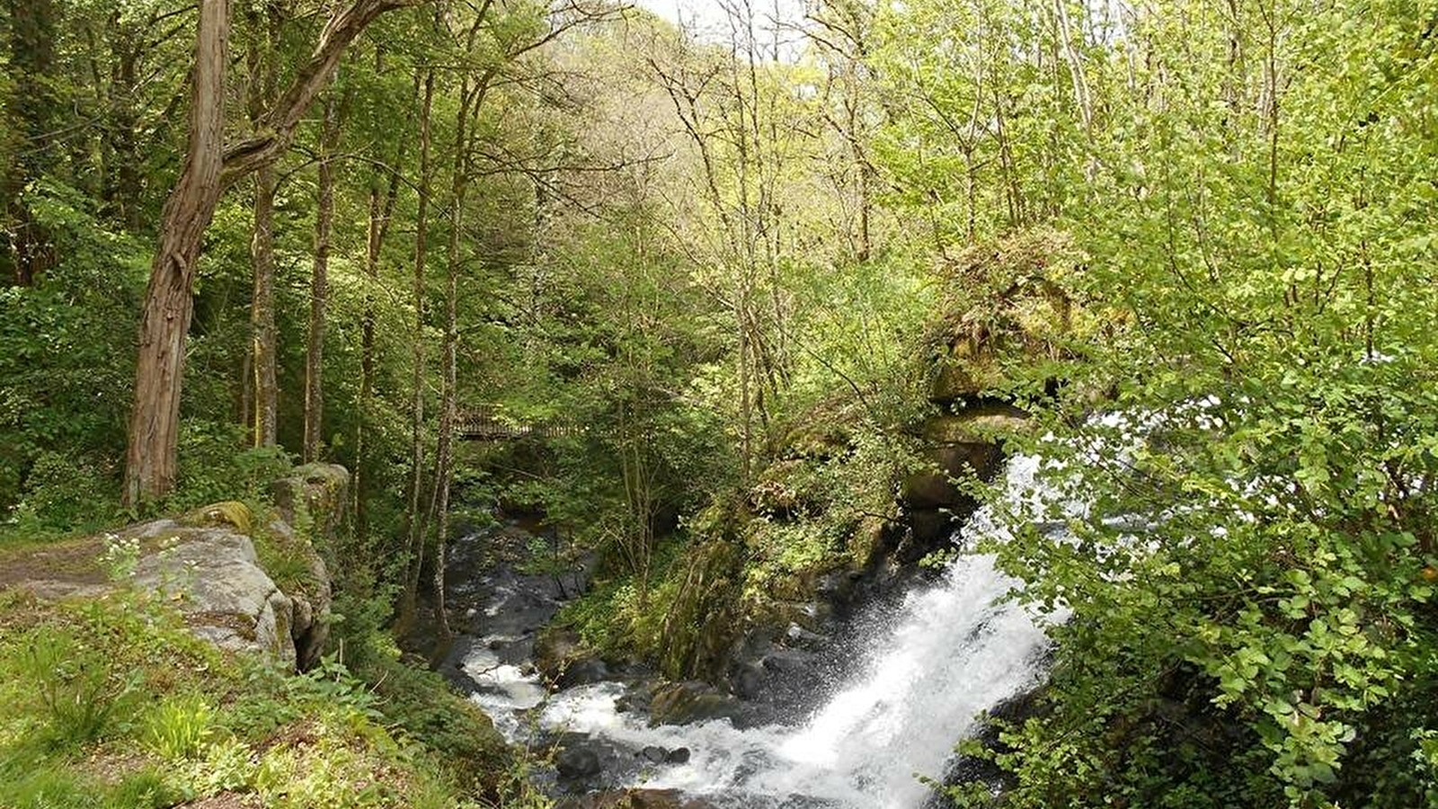 Escalade dans les Gorges de Narvau