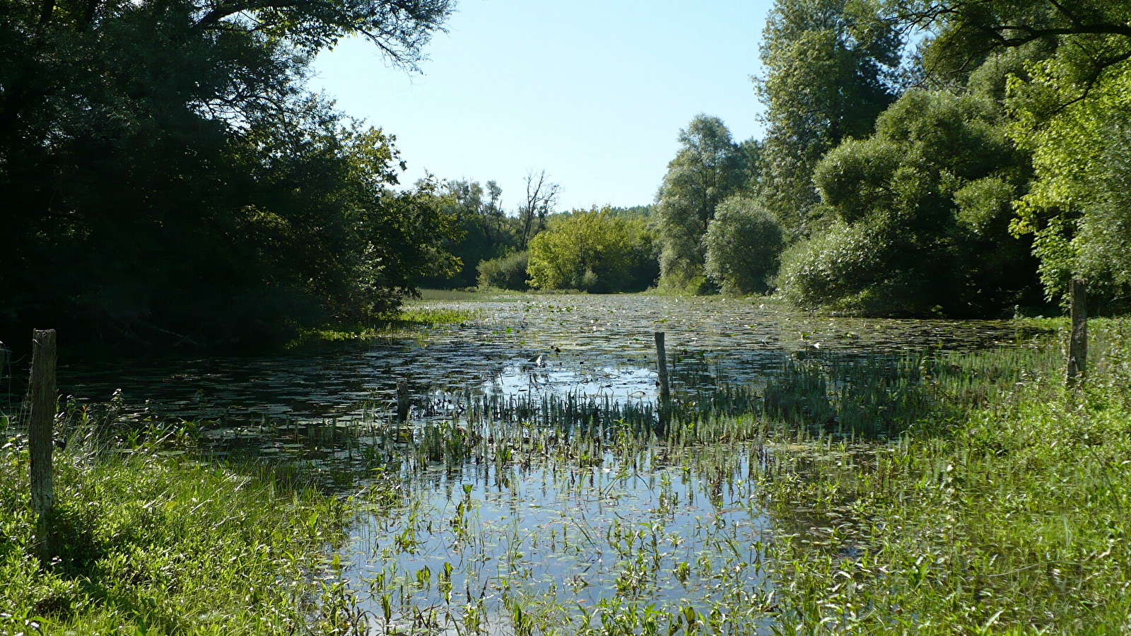 Découverte de la basse vallée du Doubs