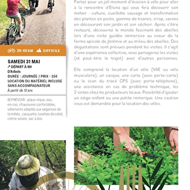 Vélo gourmand