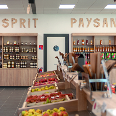 ESPRIT PAYSAN 