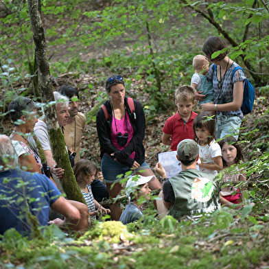 Forest Discovery Tour - Parc national de forêts
