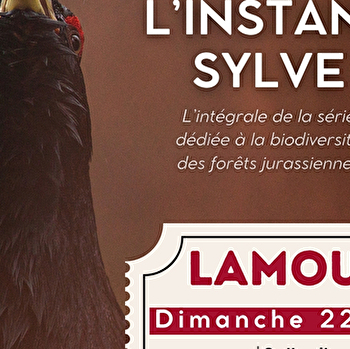 Projection nature : L'instant sylve - LAMOURA