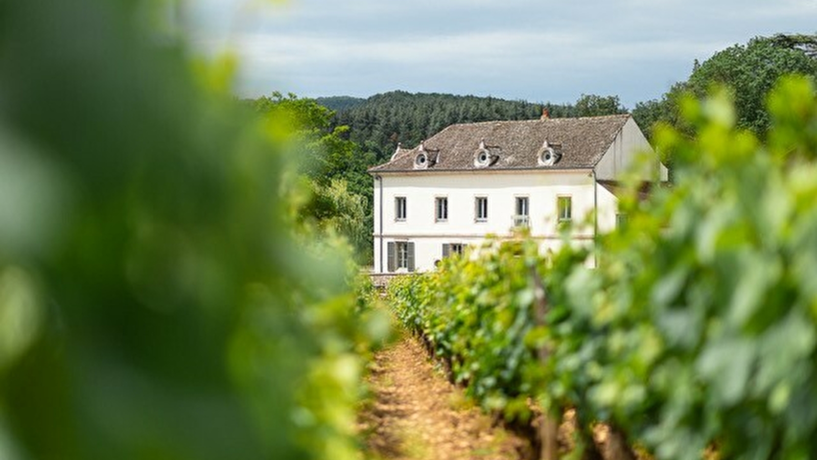 Le Gîte du Château