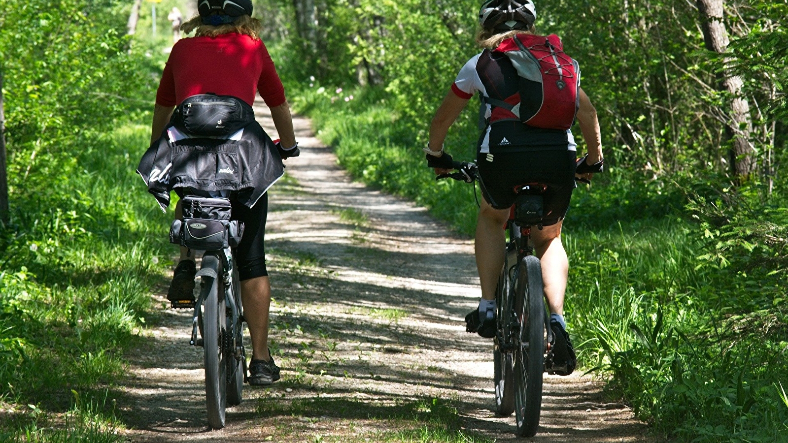 Randonnée La Sarrazine et Relais La Bourrie Douze VTT