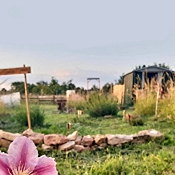Visite des Jardins d'éveil à la Nature - VILLERS-LES-POTS
