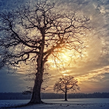 Veillée symbolique : Le solstice d'hiver Yule et les fêtes de Noël - MARIGNY-L'EGLISE