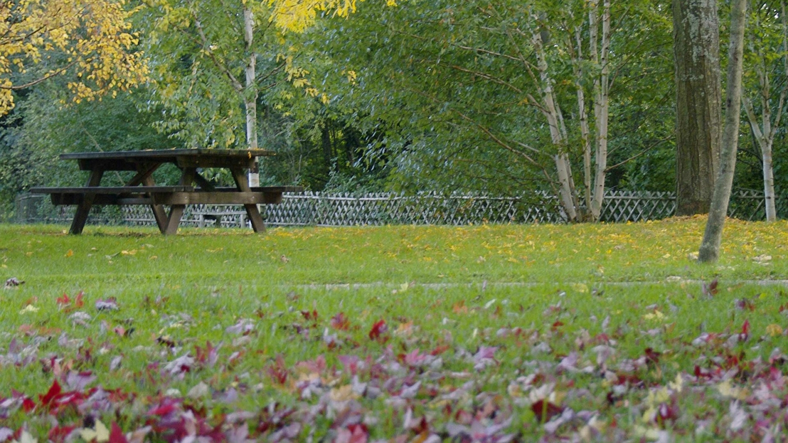 Aire de pique-nique du Parc du Moulin à Tan