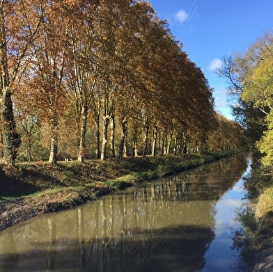 Circuit randonnée : Sentier de la découverte