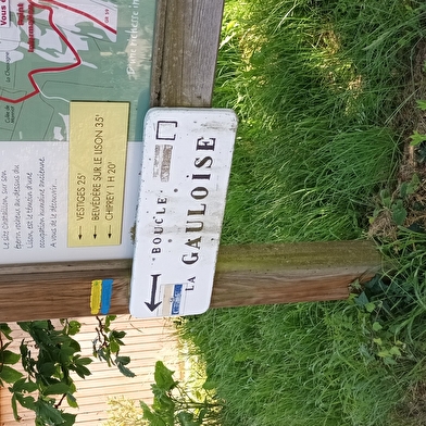 La Gauloise