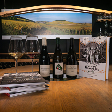 Vignobles en scène : rendez-vous « Wine Woman Show » à l'Athenaeum de la Vigne & du Vin à Beaune