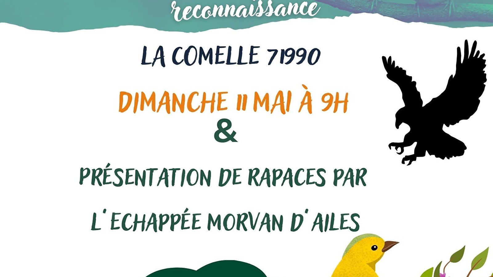 Balade ornithologique