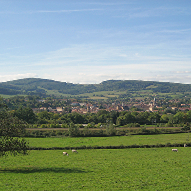 ViaCluny