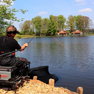 Pêche en etang aux guidons