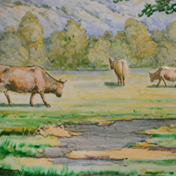 Les animaux dans les salles Beaux-Arts - CLAMECY