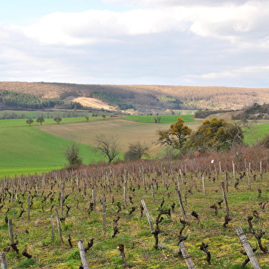 Domaine du Puits de Compostelle