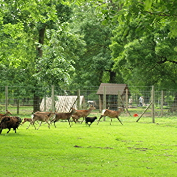 Parc des Vernaux - TAVAUX