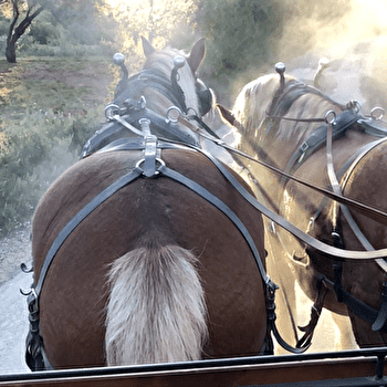 Les Traits d'Union - MELAY