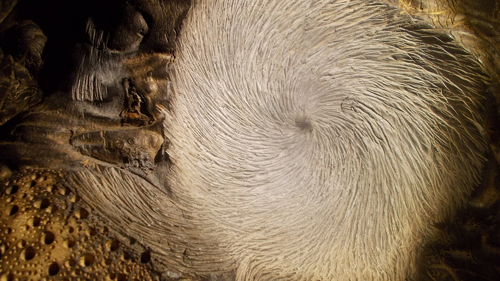 Atelier du Ô Bois Fabien GODEDFRIN