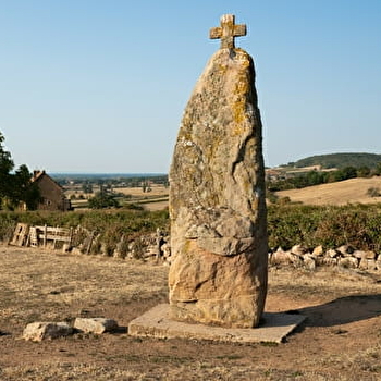 Menhir de la Pierre Levée - LA CHAPELLE-SOUS-BRANCION