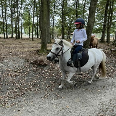 Centre équestre L'Agora du Cheval