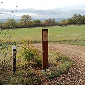 Lieu de parachutage - Seconde Guerre mondiale - MARTAILLY-LES-BRANCION