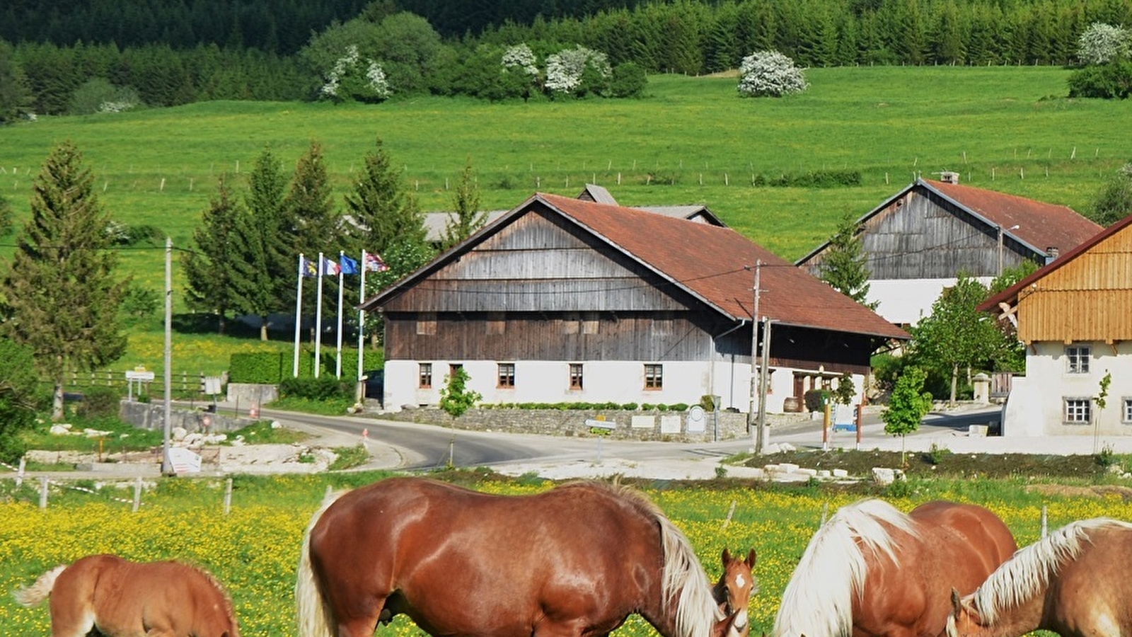 Ferme du montagnon