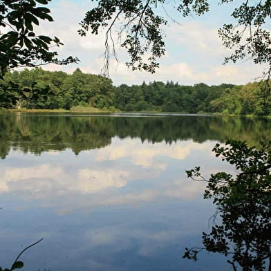 Circuit de l'eau et des bois