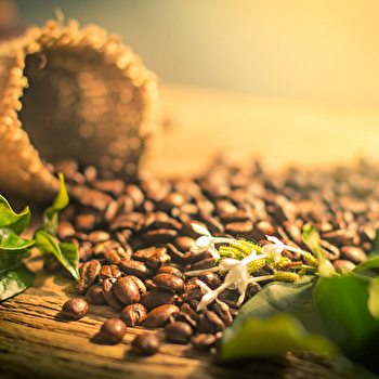 Techni-Café - DEVECEY