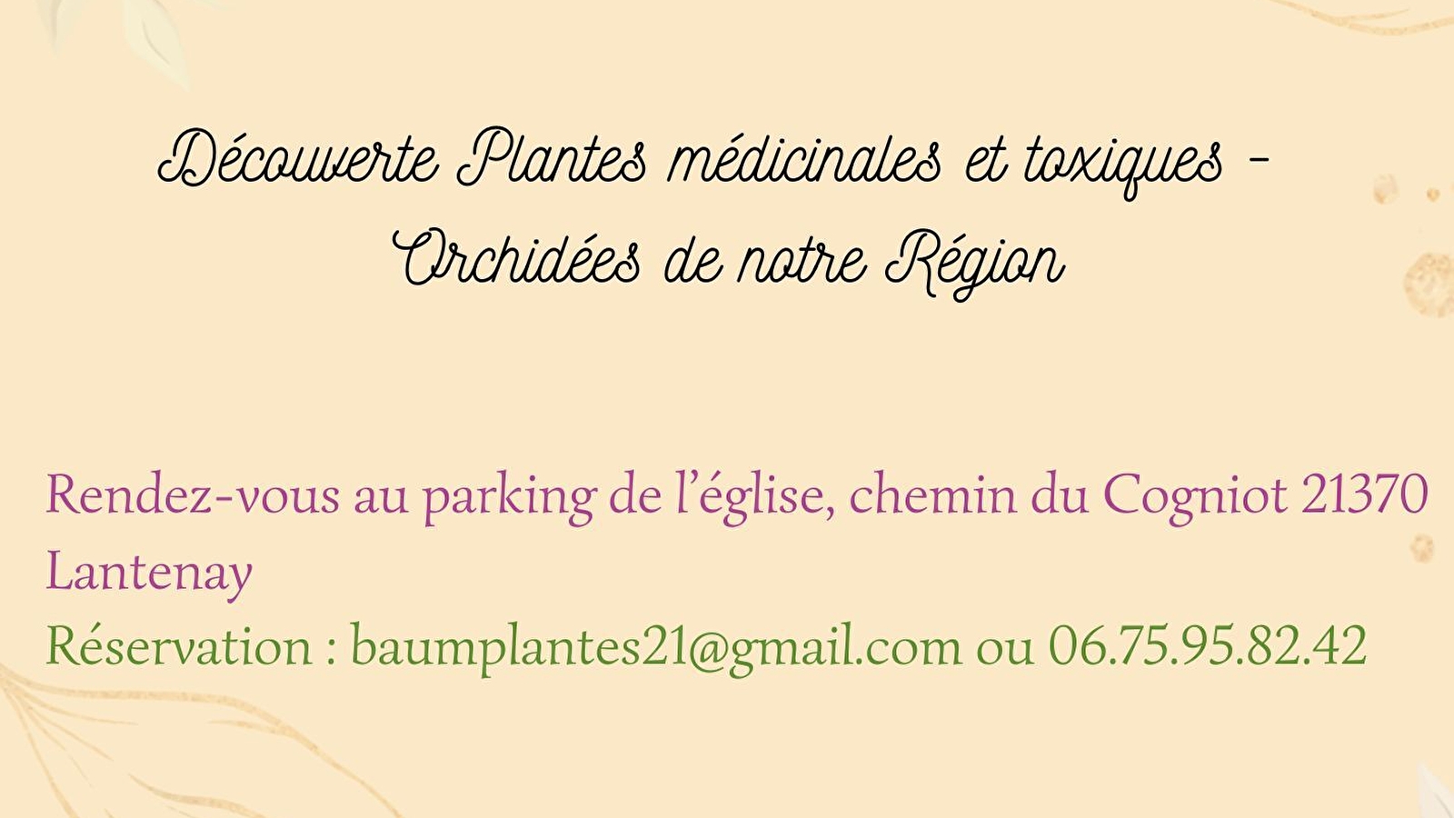 Sorties botaniques