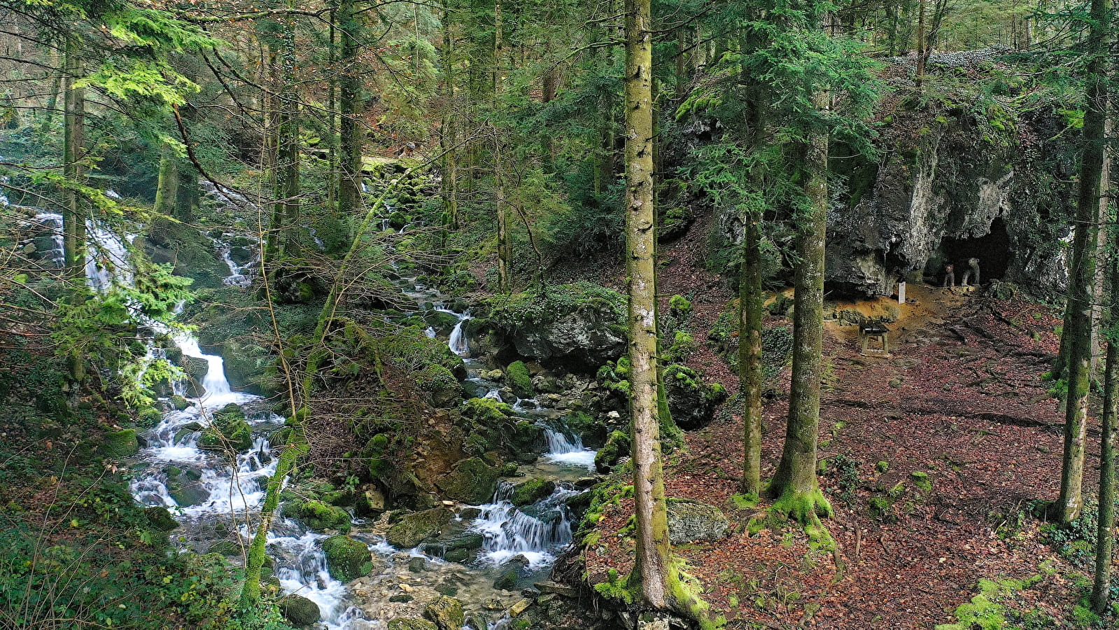 Source de l'Angillon