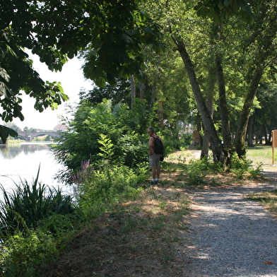 Sentier d'interprétation de la Vieille Loire 