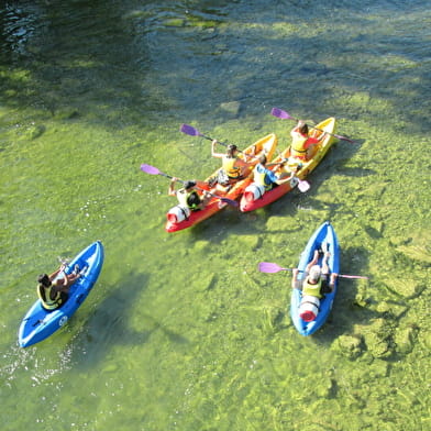 Grenouille canoë