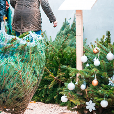 Marché de Noël