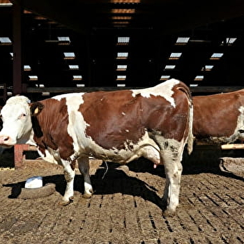Ferme Talon - VILLARS-LE-SEC