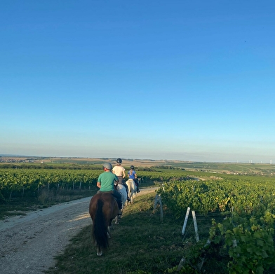À Cheval dans l'Yonne