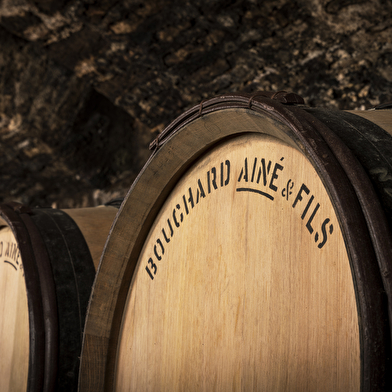 Bouchard Ainé & Fils - Dégustation spéciale Vente des Vins 2025 (9 vins dont 3 Grands Crus)