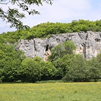 Journée de sensibilisation à la biodiversité à Mailly-le-Château (89) - MAILLY-LE-CHATEAU