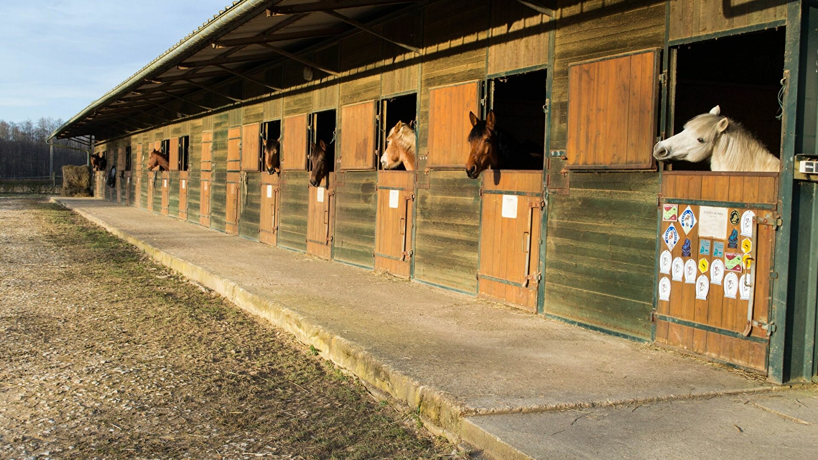 Gaudry Équitation