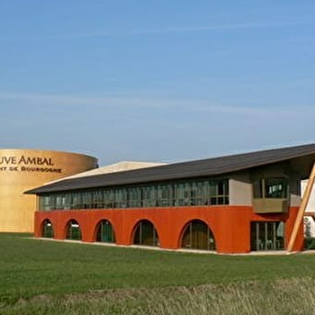 Veuve Ambal - Dégustation et visite du site de production, Vente des Vins 2025 - MONTAGNY-LES-BEAUNE